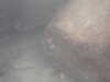 PICT0055.JPG