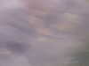 PICT0059.JPG