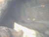 PICT0064.JPG