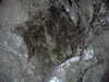 PICT0073.JPG