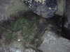 PICT0074.JPG
