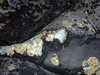 PICT0077.JPG