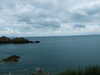 20080807142853-DSCF2542.JPG