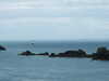 20080807143512-DSCF2551.JPG