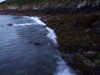 20080807210303-DSCF2566.JPG