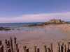 IMAG0556.jpg