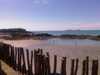 IMAG0557.jpg