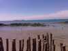 IMAG0558.jpg