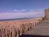 IMAG0559.jpg