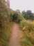 IMAG0583.jpg