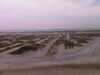 IMAG0598.jpg