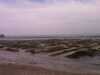 IMAG0599.jpg