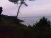 IMAG0608.jpg