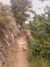 IMAG0613.jpg