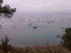IMAG0616.jpg