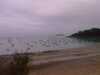 IMAG0623.jpg
