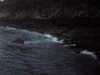 PICT0068.JPG