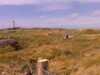 20080809114724-IMAG0641.jpg