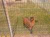 20080809123501-IMAG0643.jpg