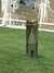 Dscf2609.jpg