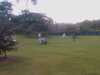 20080824151042-IMAG0668.jpg