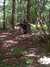 n593743916_588544_1381.jpg