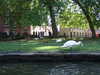 20080914112910-DSCF2643.JPG