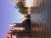 20080914123437-IMAG0706.jpg