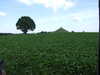 20080916124040-DSCF2671.JPG