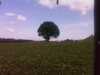 20080916133824-IMAG0742.jpg