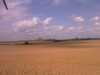20080916134634-IMAG0743.jpg