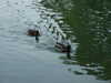DSCF2681.JPG