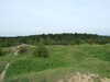DSCF2695.JPG