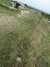 DSCF2696.JPG