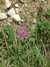 DSCF2697.JPG