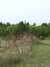 DSCF2699.JPG