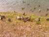 20080917140200-IMAG0763.jpg