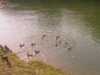 20080917140442-IMAG0771.jpg