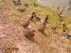 20080917140528-IMAG0772.jpg