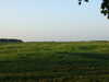 20080918180544-DSCF2743.JPG