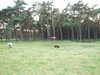 20080918183140-DSCF2768.JPG