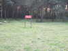 20080918183252-DSCF2772.JPG