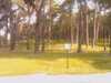 20080919113948-IMAG0790.jpg