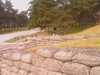 20080919120915-IMAG0800.jpg
