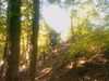 20080919155747-IMAG0809.jpg