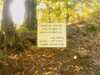 20080919160625-IMAG0810.jpg