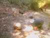 20080919160634-IMAG0811.jpg