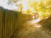 20080919160652-IMAG0812.jpg