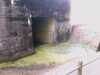20080919161536-IMAG0815.jpg