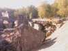 20080919161623-IMAG0816.jpg
